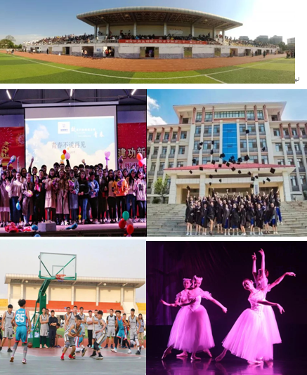 图片24.png
